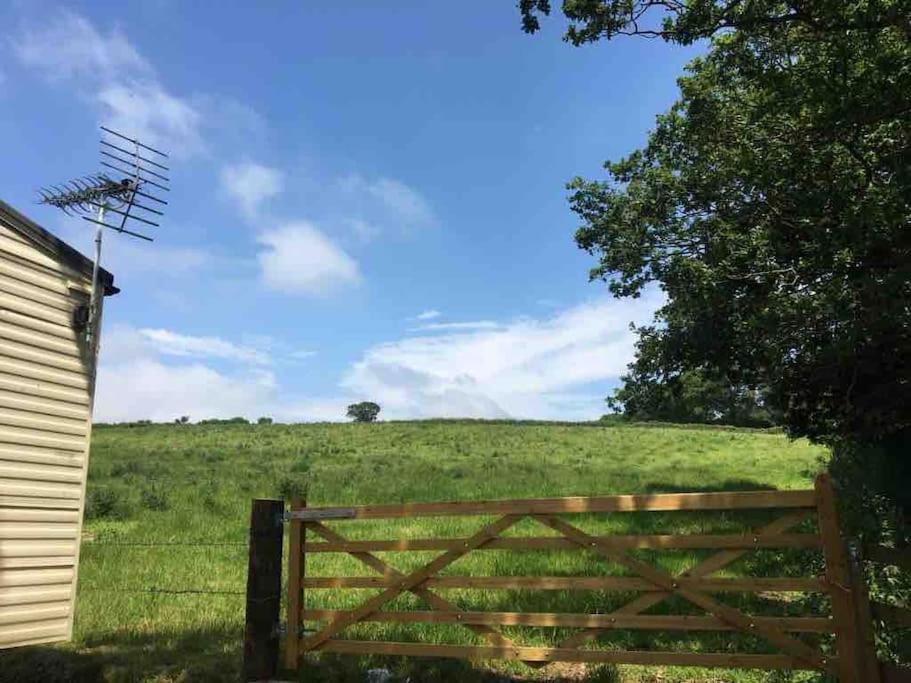 Park Gate, Colyton, Farm,Near Beaches-'Annie' Exterior foto